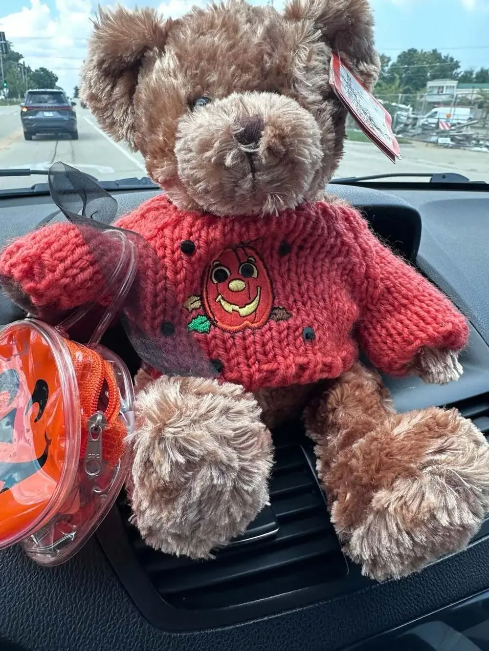 Galerie 11 Inch Halloween Bear in Red Sweater with Pumpkin Bag